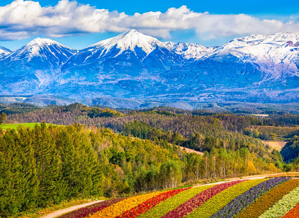 Hokkaido Romance of the Northern Sea Private Tour