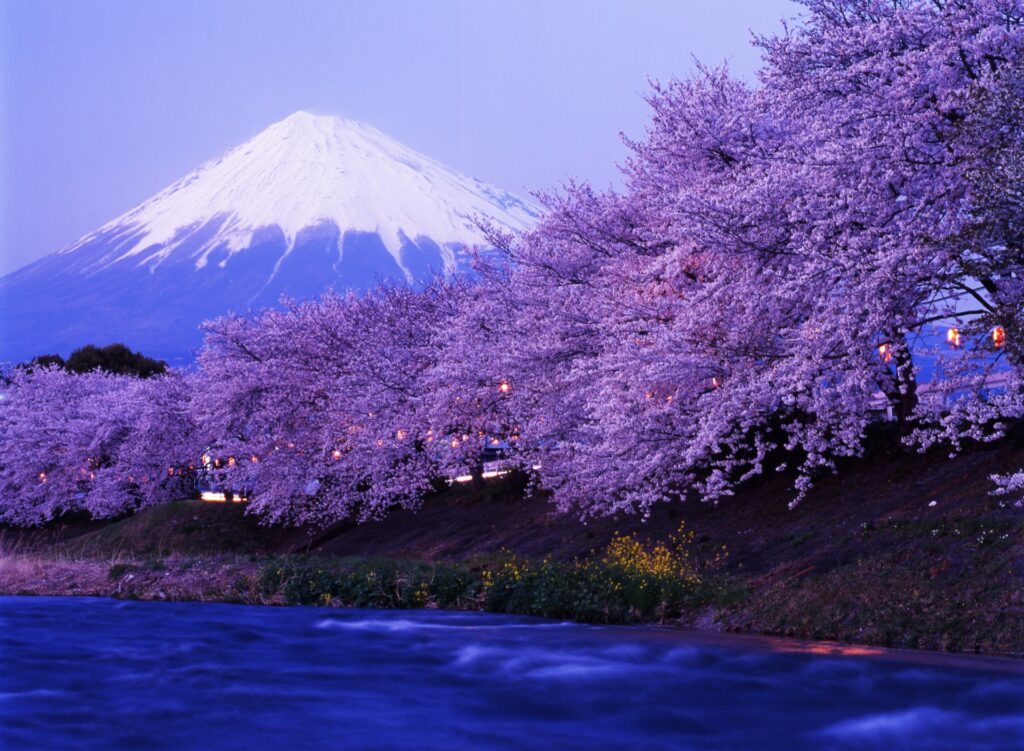 Explore Japan
