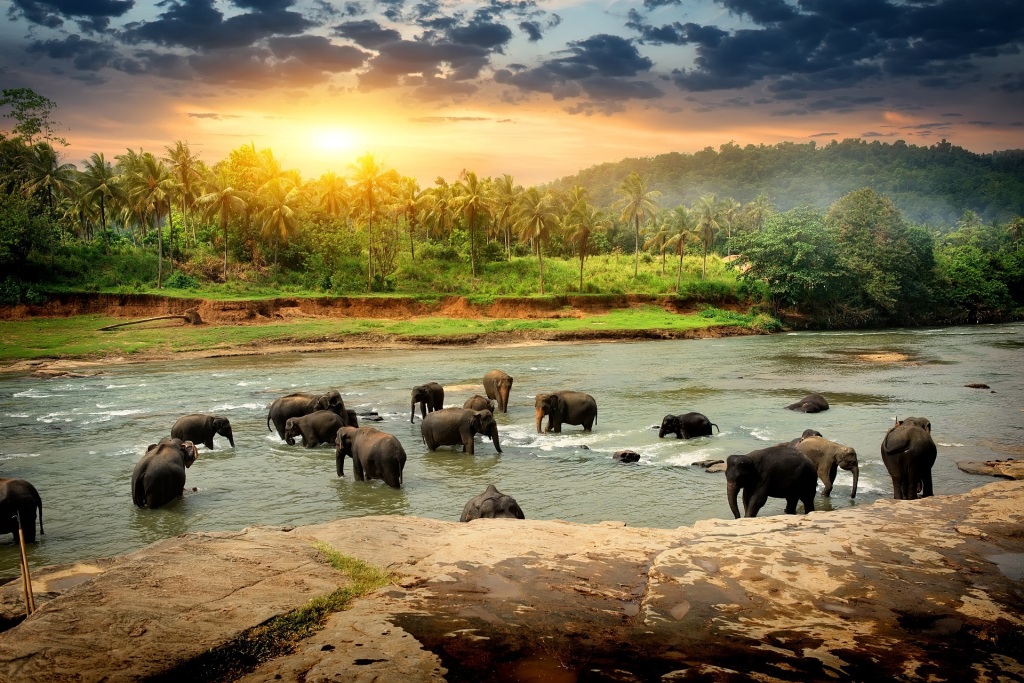 Glimpses of Sri Lanka