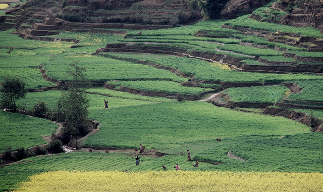 Gurung Trail