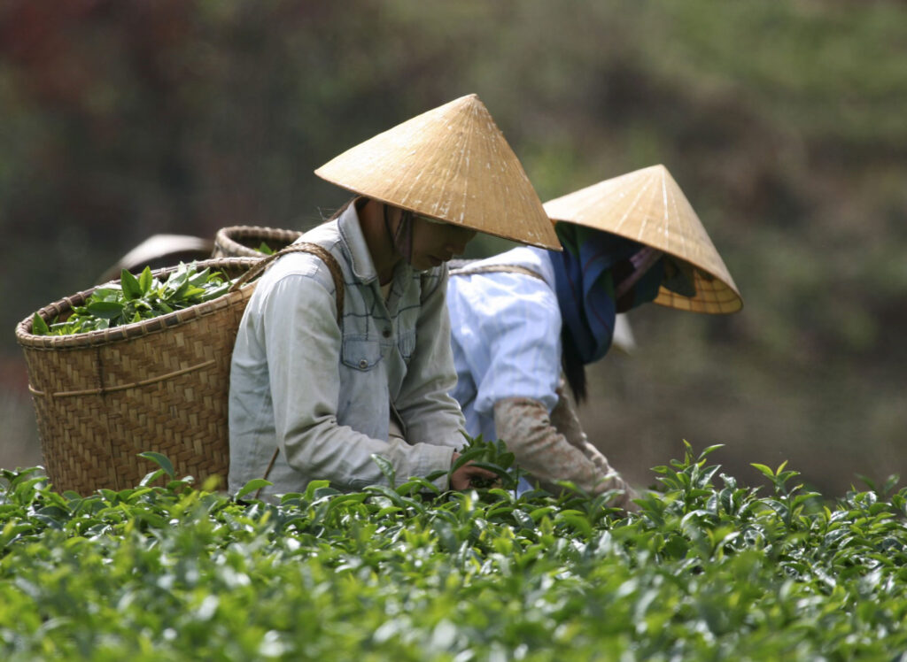 Vietnam Family Holiday Guided Tour